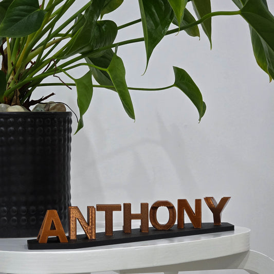 Custom Illusion Name Sign | Personalised Valentine’s Gift for Him & Her | Unique Couples Name Art